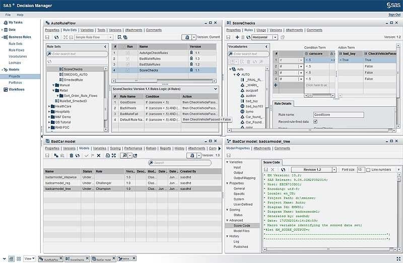SAS Decision Management