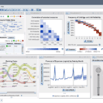 SAS Visual Analytics