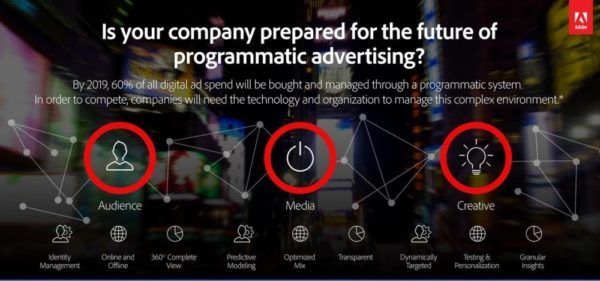 Adobe advanced programmatic ad platform for advertisers: in 2025 ...