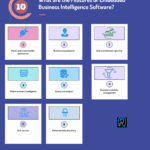 What are the Features of Embedded Business Intelligence Software?
