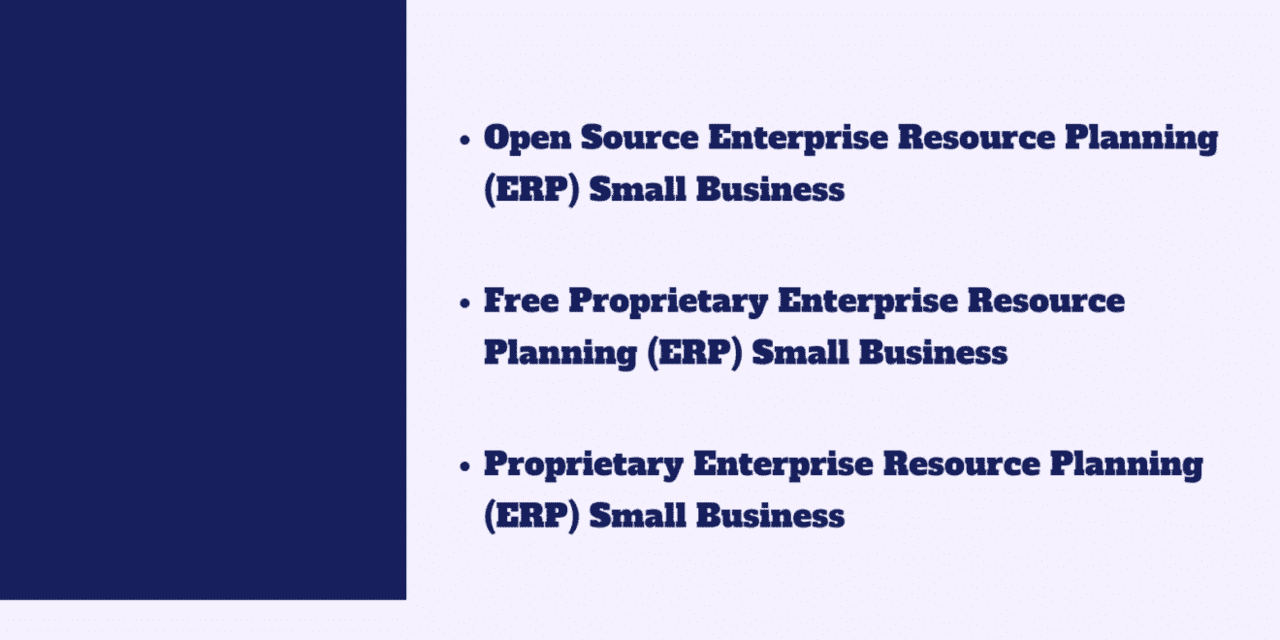 Identifying Which Type of Enterprise Resource Planning (ERP) Software is right for your Small Business