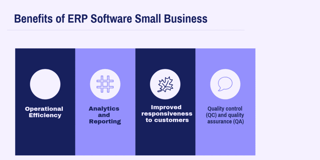 What are the Benefits of ERP Software Small Business