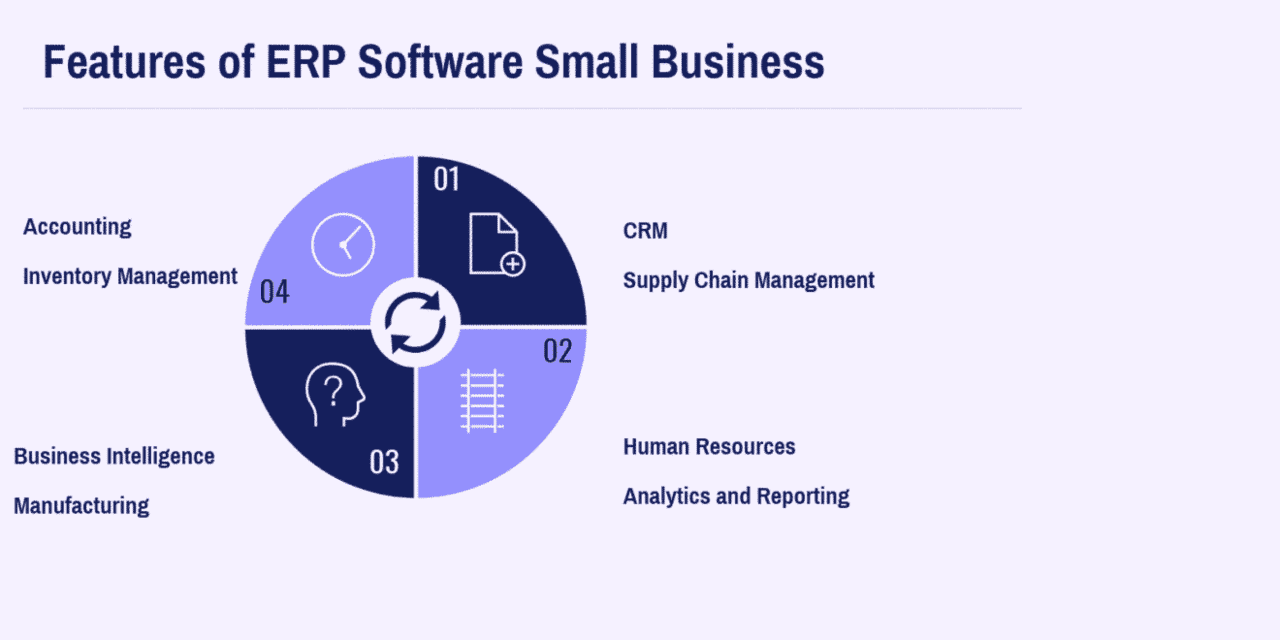 What are the Essential Features of ERP Software Small Business