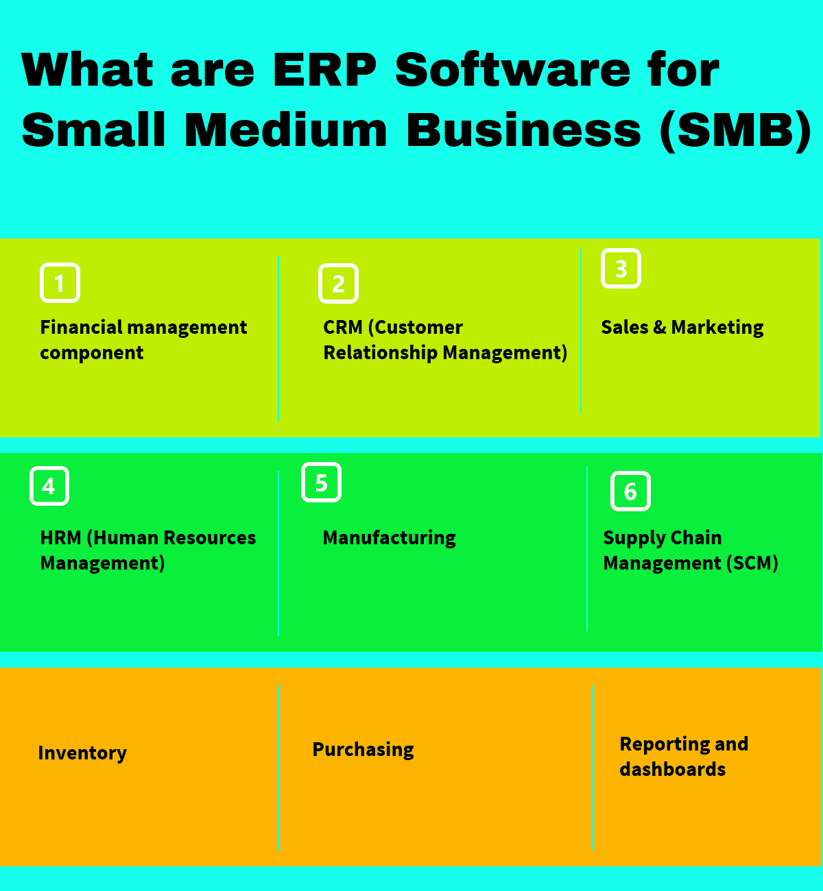 What are ERP Software for Small Medium Business (SMB)