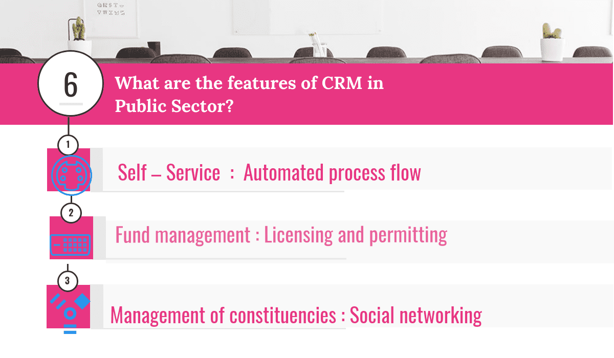 What are the features of CRM in Public Sector