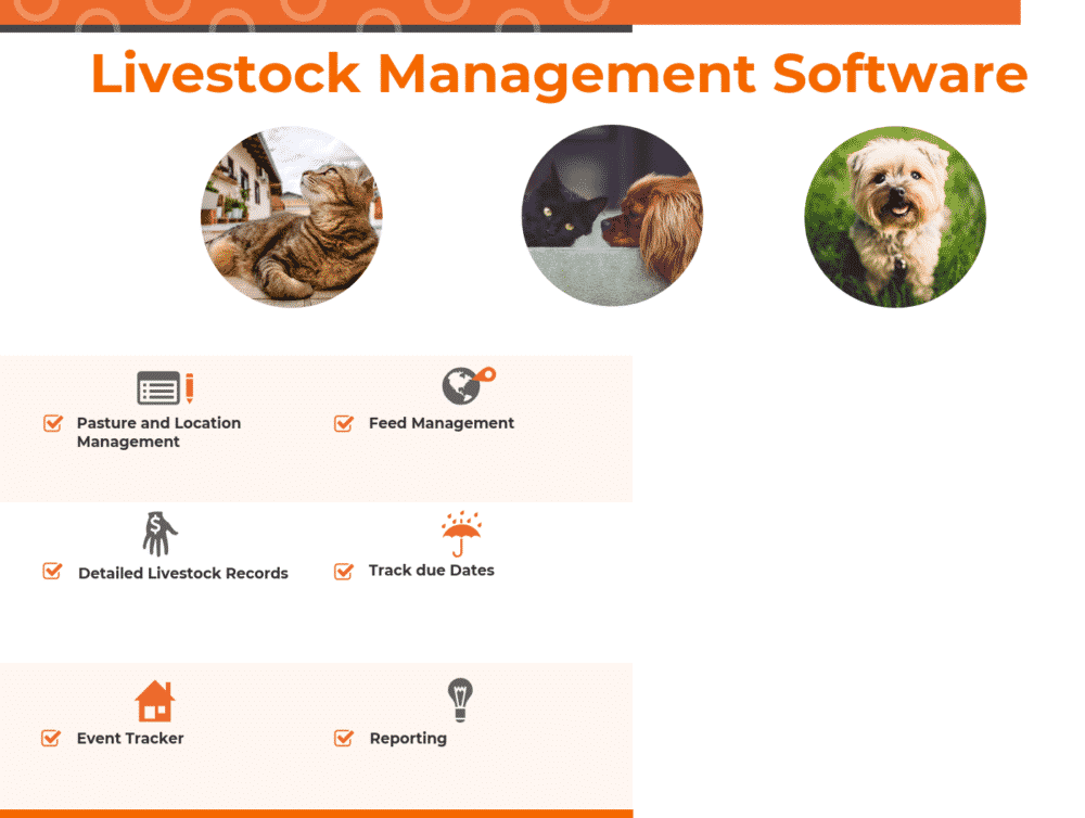 Top Livestock Management Software