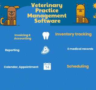 Top Veterinary Practice Management Software