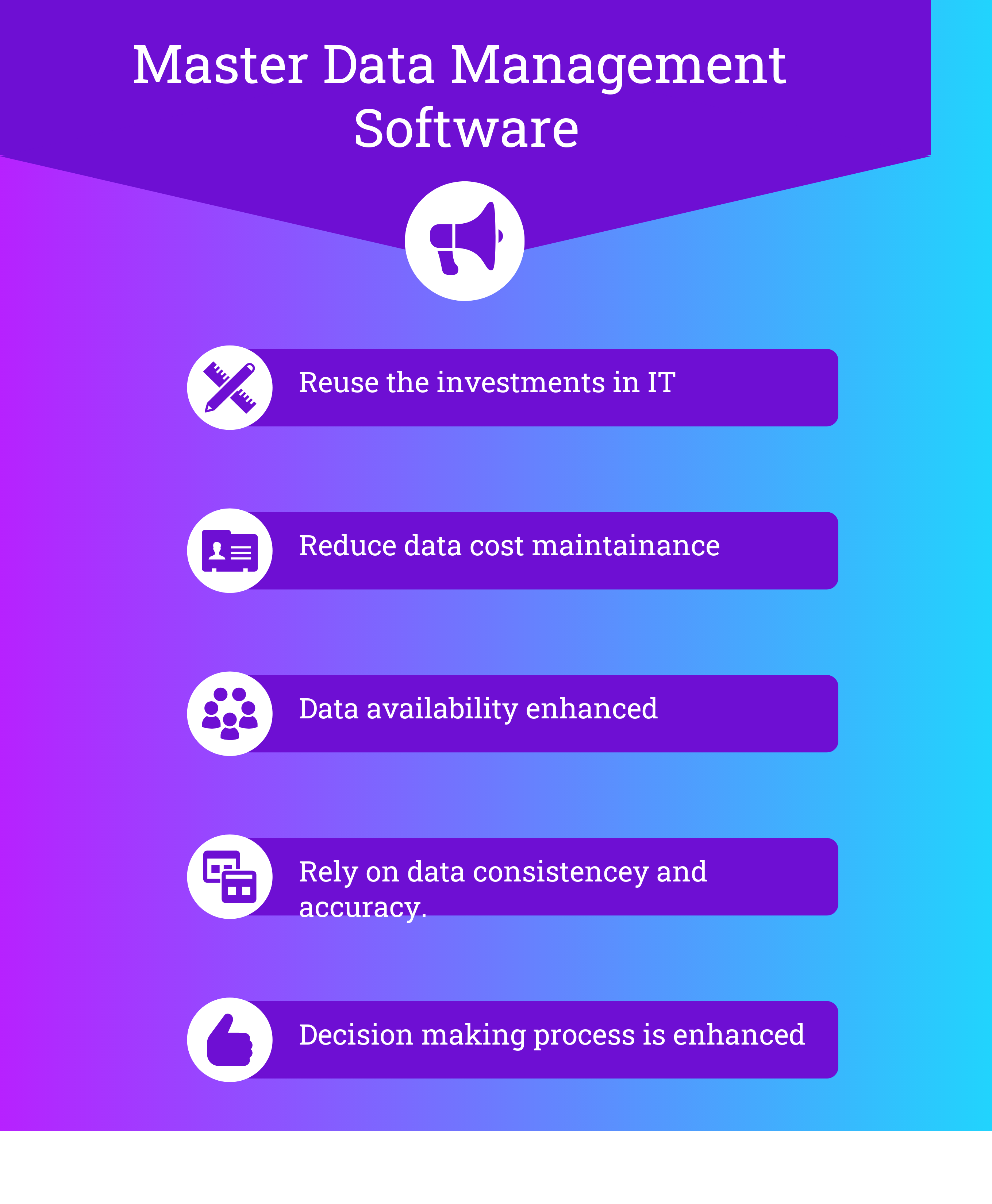 What are the Features of Master Data Management Software