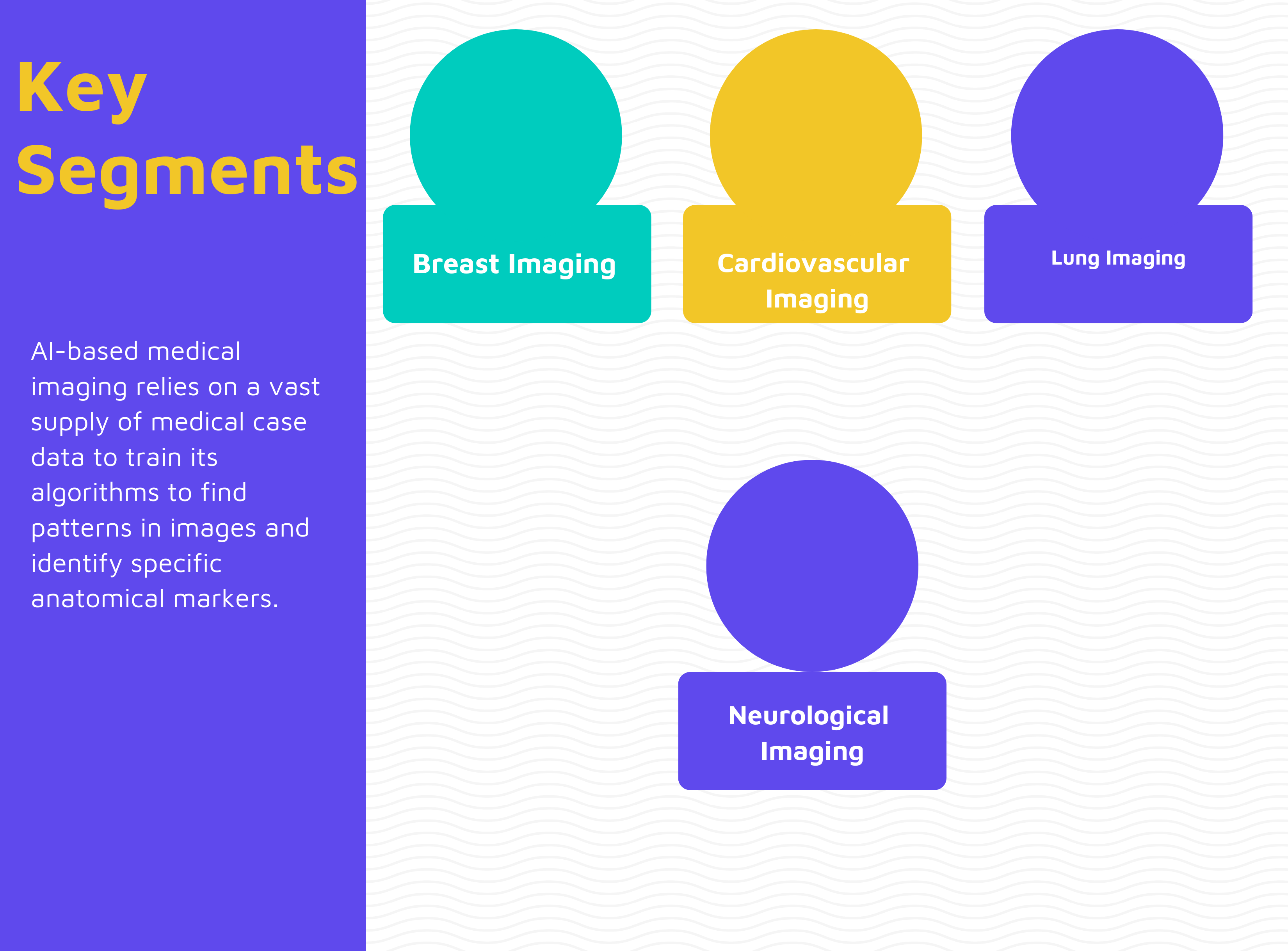 What are the Key Segments in AI-based Medical Imaging