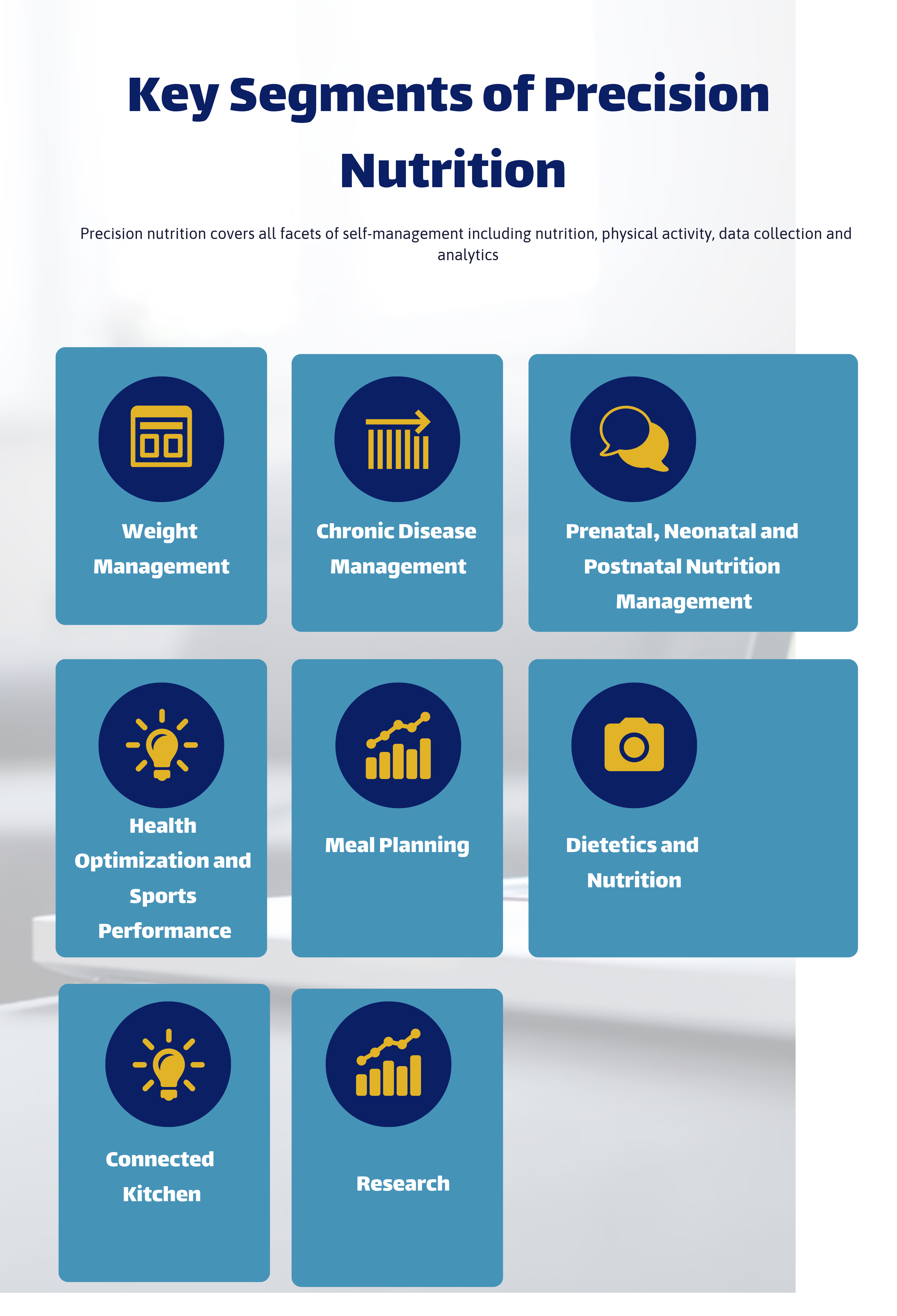 What are the Key Segments of Precision Nutrition