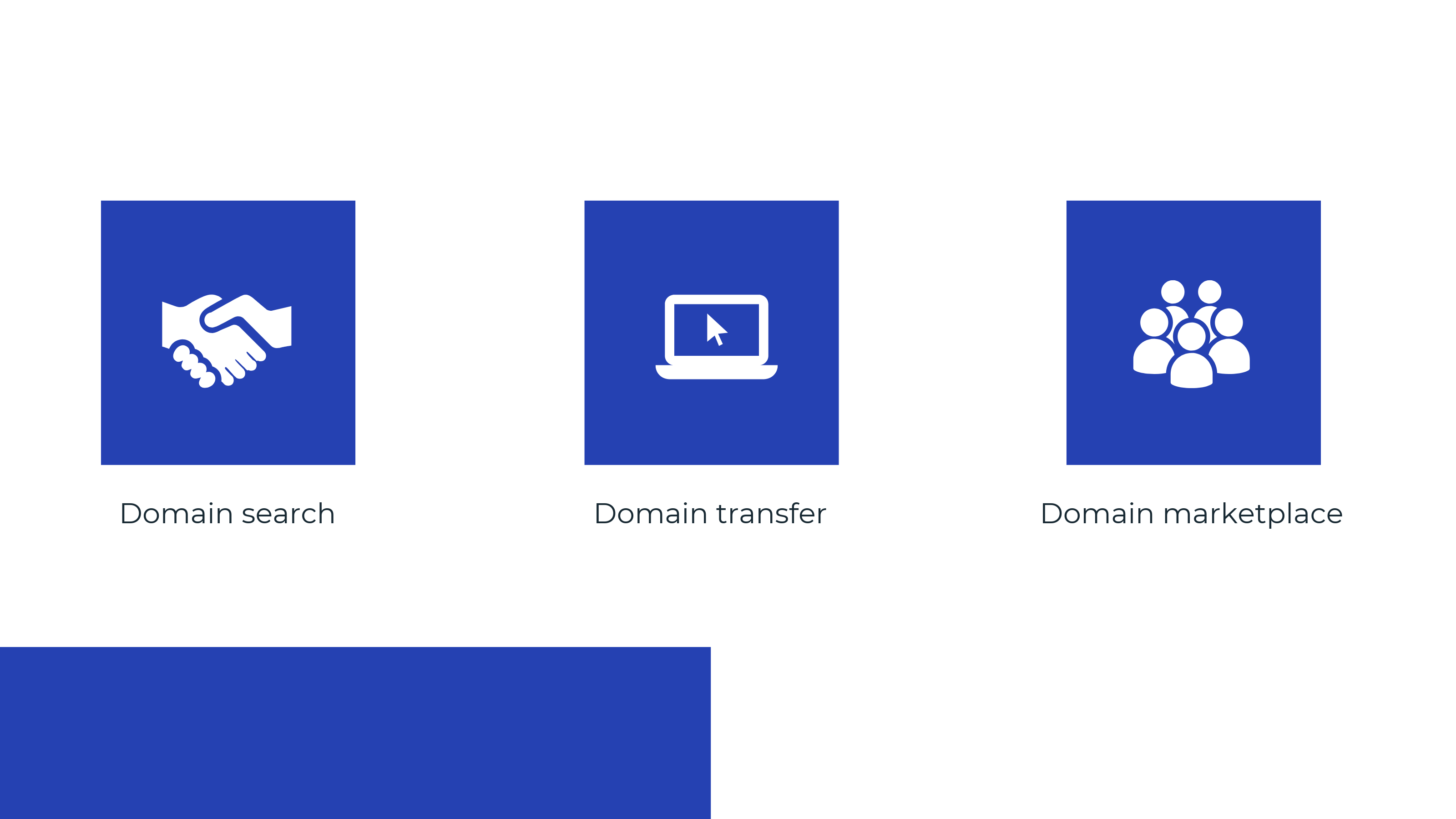 Domain Registration Providers Features