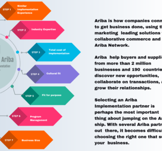 How to Select the Best Ariba Implementation Partner How to Select the Best Ariba Implementation Partner