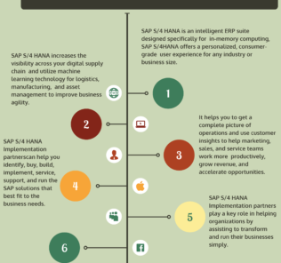 Top 16 SAP S/4 HANA Implementation Partners Top 16 SAP S4 HANA Implementation Partners