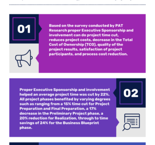 How Proper Executive Sponsorship can help Project Implementation How Proper Executive Sponsorship can help Project Implementation