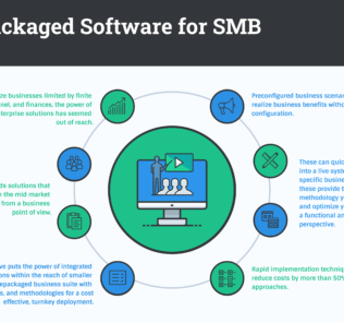 The Benefits of Prepackaged Software for Business The Benefits of Prepackaged Software for Business