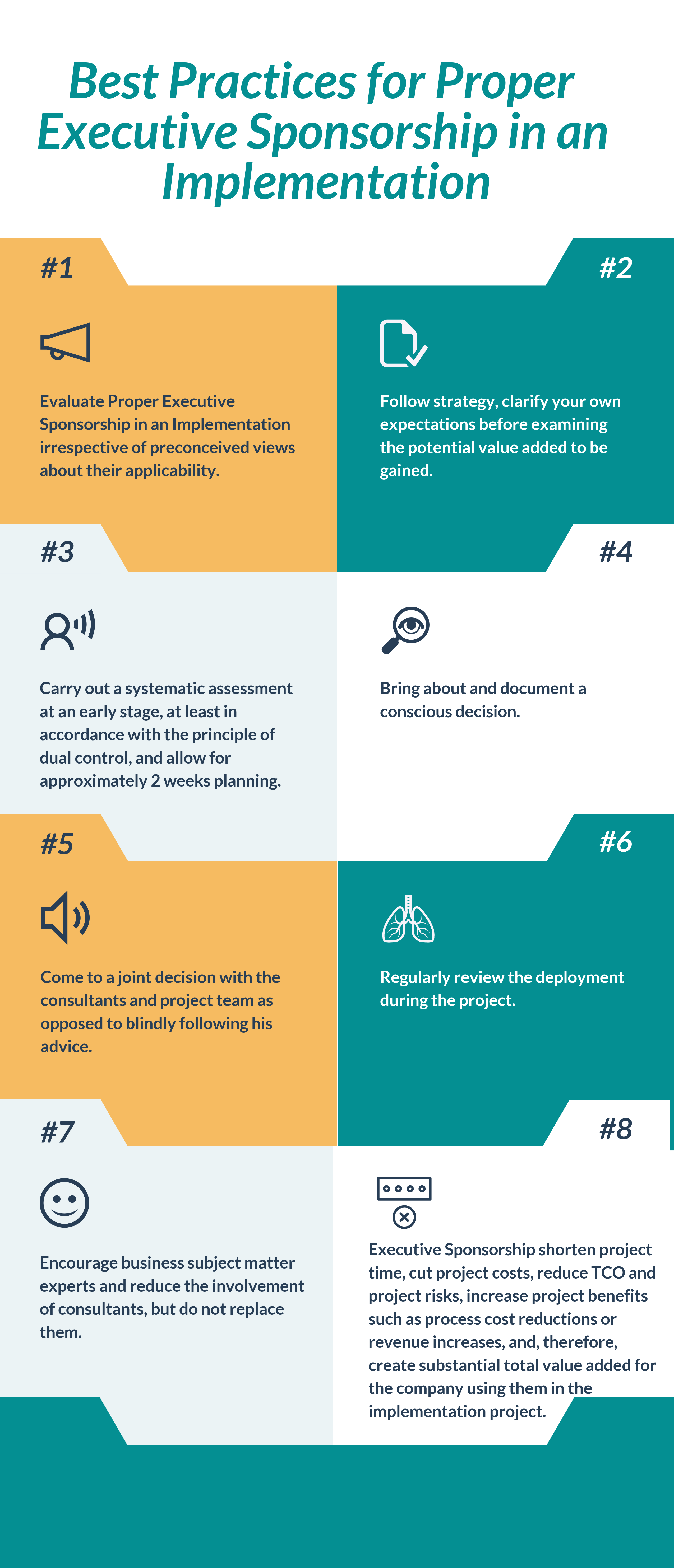 What are the Best Practices for Proper Executive Sponsorship in an Implementation