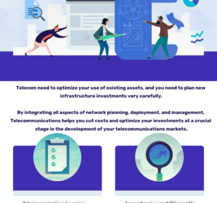 Network Life Cycle Management in Telecommunications Industry