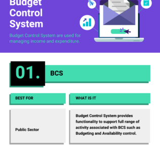 What are Budget Control System and its Benefits