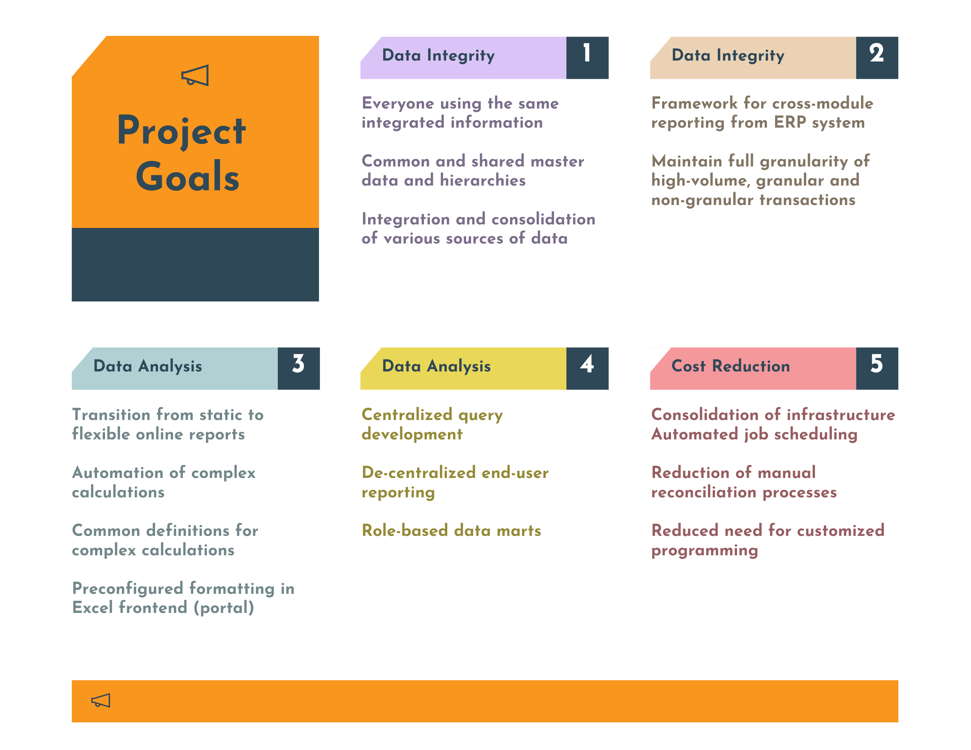 What are the Project Goals for a Business Intelligence Software Implementation