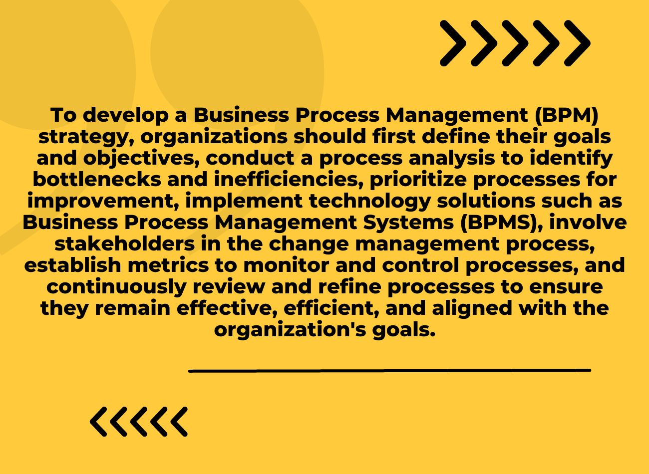Develop a Business Process Management (BPM) strategy