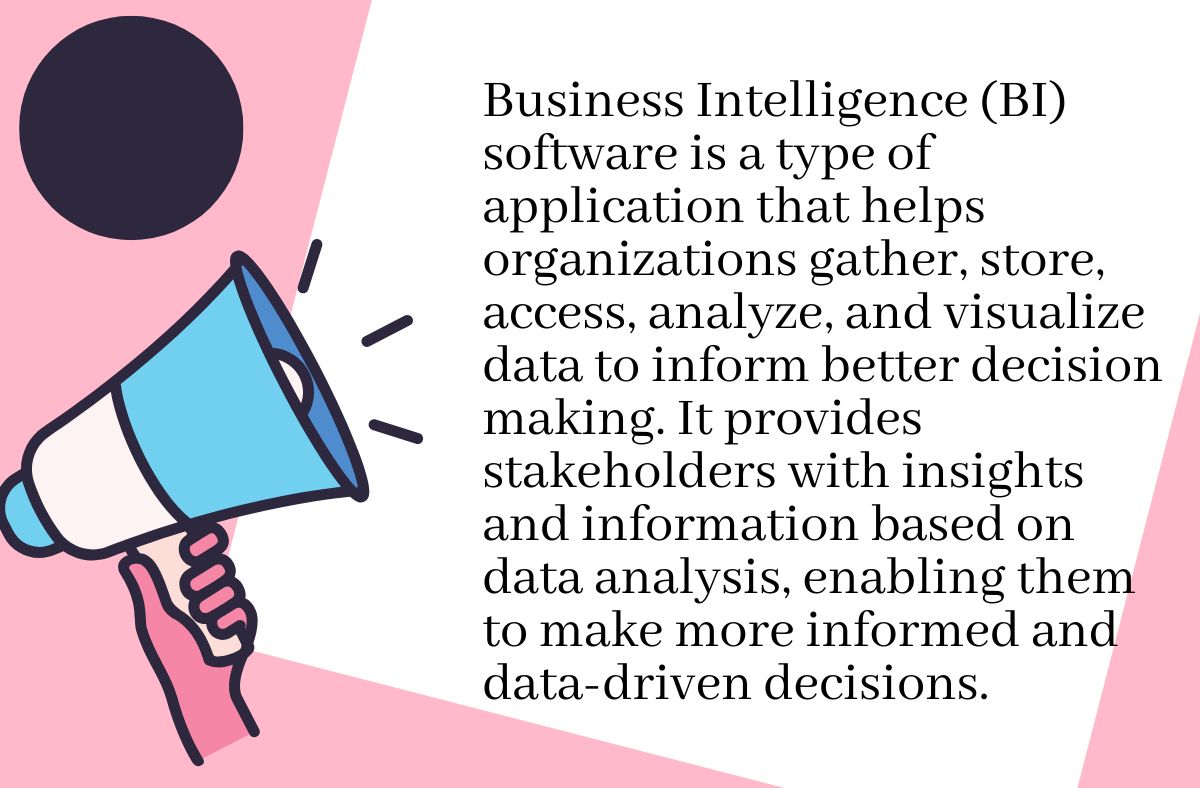 What is Business Intelligence Software